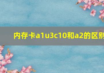 内存卡a1u3c10和a2的区别