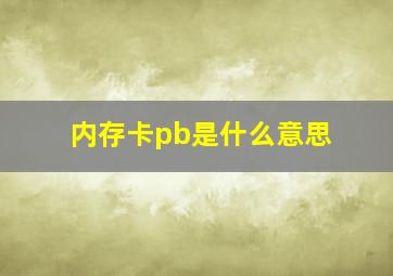 内存卡pb是什么意思