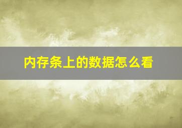 内存条上的数据怎么看