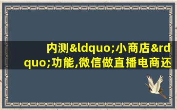 内测“小商店”功能,微信做直播电商还有胜算吗?