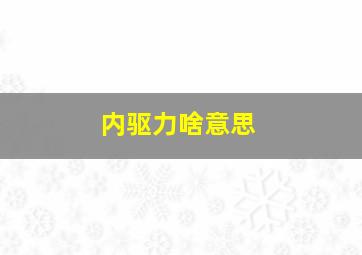 内驱力啥意思