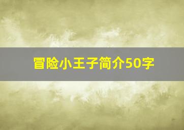 冒险小王子简介50字