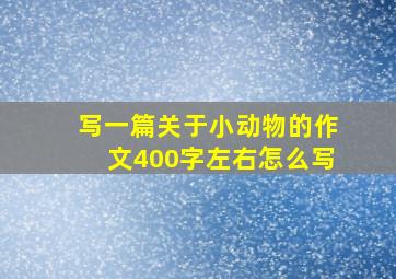 写一篇关于小动物的作文400字左右怎么写