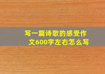 写一篇诗歌的感受作文600字左右怎么写