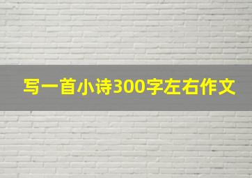 写一首小诗300字左右作文