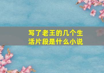 写了老王的几个生活片段是什么小说