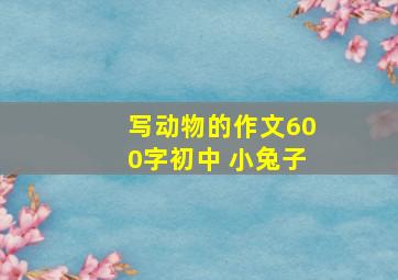 写动物的作文600字初中 小兔子