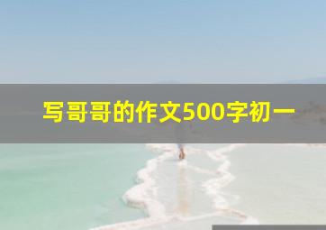 写哥哥的作文500字初一