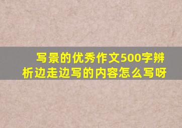 写景的优秀作文500字辨析边走边写的内容怎么写呀