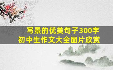 写景的优美句子300字初中生作文大全图片欣赏