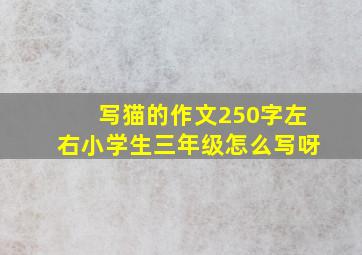 写猫的作文250字左右小学生三年级怎么写呀