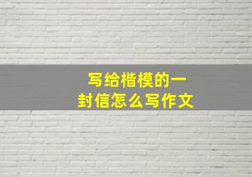 写给楷模的一封信怎么写作文