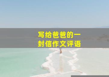 写给爸爸的一封信作文评语