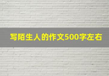 写陌生人的作文500字左右