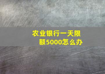 农业银行一天限额5000怎么办