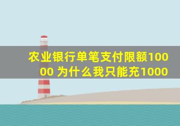 农业银行单笔支付限额10000 为什么我只能充1000