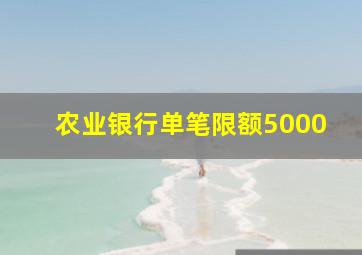 农业银行单笔限额5000