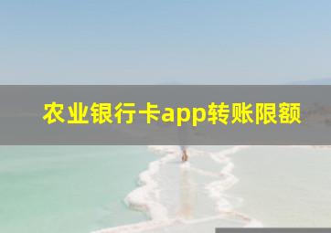 农业银行卡app转账限额