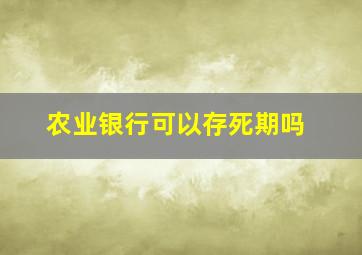 农业银行可以存死期吗