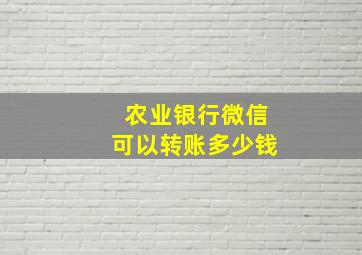 农业银行微信可以转账多少钱