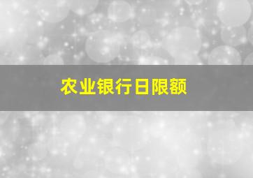 农业银行日限额