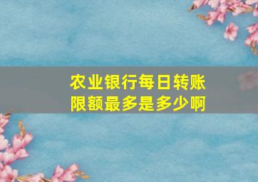 农业银行每日转账限额最多是多少啊