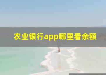 农业银行app哪里看余额