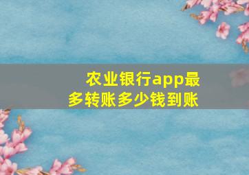 农业银行app最多转账多少钱到账