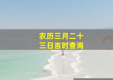 农历三月二十三日吉时查询