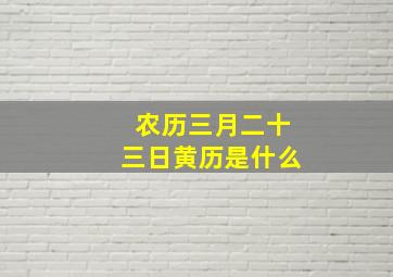 农历三月二十三日黄历是什么