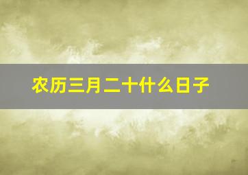 农历三月二十什么日子