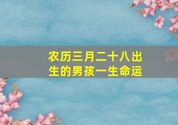 农历三月二十八出生的男孩一生命运