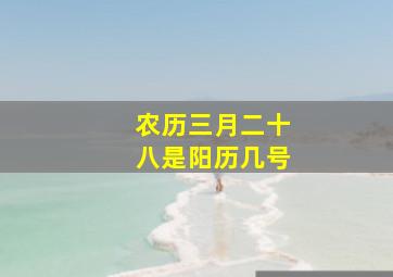 农历三月二十八是阳历几号