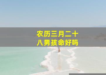 农历三月二十八男孩命好吗