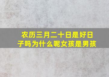 农历三月二十日是好日子吗为什么呢女孩是男孩