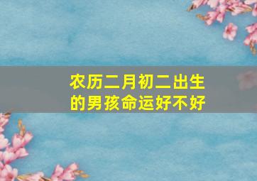 农历二月初二出生的男孩命运好不好