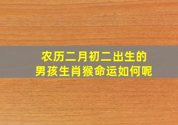 农历二月初二出生的男孩生肖猴命运如何呢