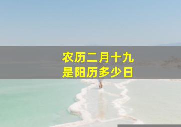 农历二月十九是阳历多少日