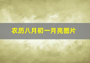 农历八月初一月亮图片