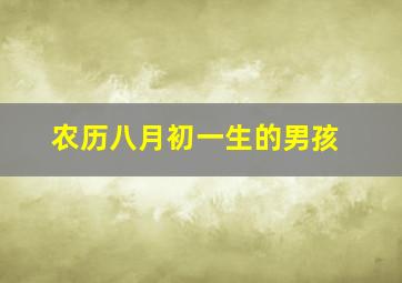 农历八月初一生的男孩