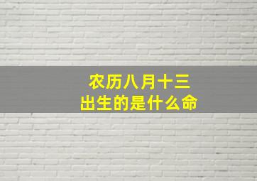 农历八月十三出生的是什么命