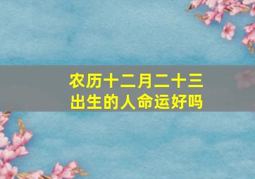 农历十二月二十三出生的人命运好吗