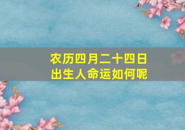 农历四月二十四日出生人命运如何呢