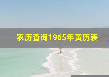 农历查询1965年黄历表