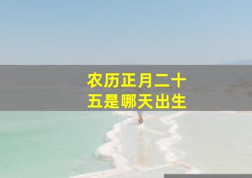 农历正月二十五是哪天出生