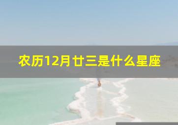 农历12月廿三是什么星座