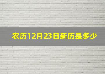 农历12月23日新历是多少