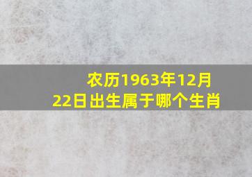 农历1963年12月22日出生属于哪个生肖