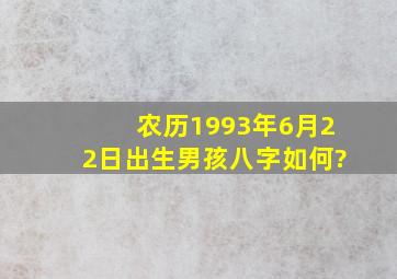 农历1993年6月22日出生男孩八字如何?