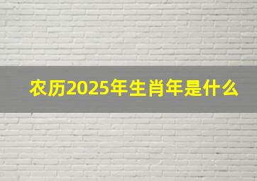 农历2025年生肖年是什么